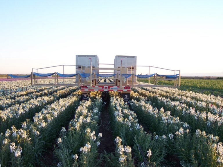 Flower Harvesting Trailers For Sale Yuma, AZ Denair Trailer